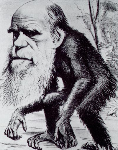 Darwin's head on body of chimp from Hornet magazine 1871